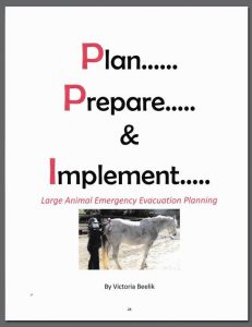 Plan Prepare & Implement Book by Victoria Beelik